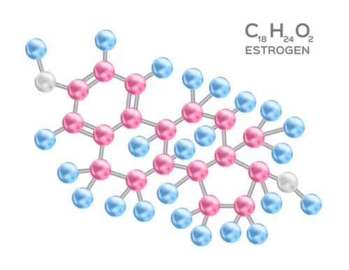 Estrogen